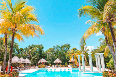 Bougainvilleas on Lombard Street,  San Francisco, Tokyo