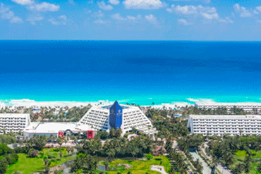 Bougainvilleas on Lombard Street,  San Francisco, Tokyo