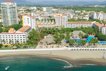 Bougainvilleas on Lombard Street,  San Francisco, Tokyo