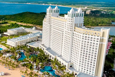 Bougainvilleas on Lombard Street,  San Francisco, Tokyo