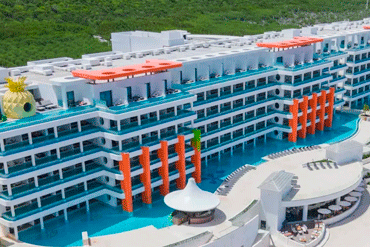 Bougainvilleas on Lombard Street,  San Francisco, Tokyo