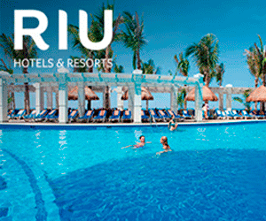 Bougainvilleas on Lombard Street