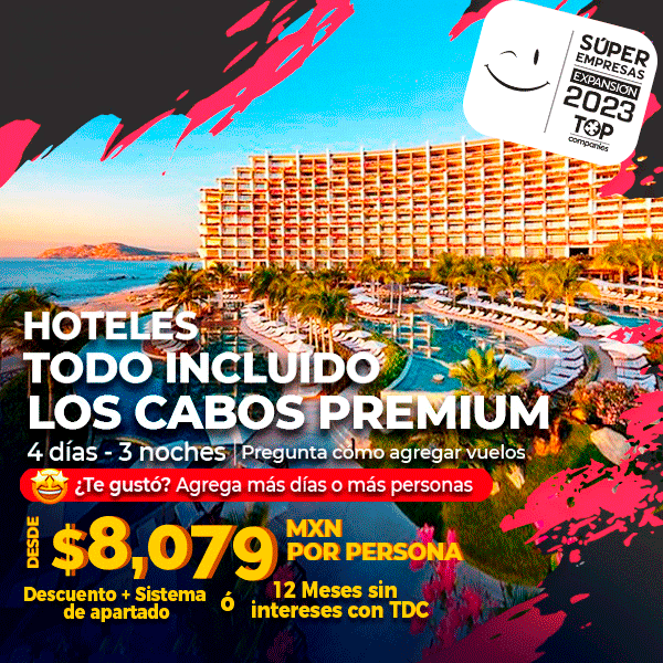 Bougainvilleas on Lombard Street,  San Francisco, Tokyo