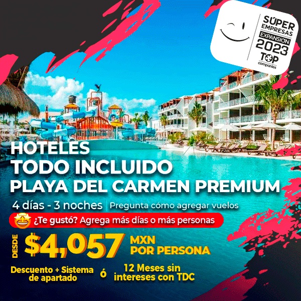 Bougainvilleas on Lombard Street,  San Francisco, Tokyo